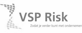 VSP Risk